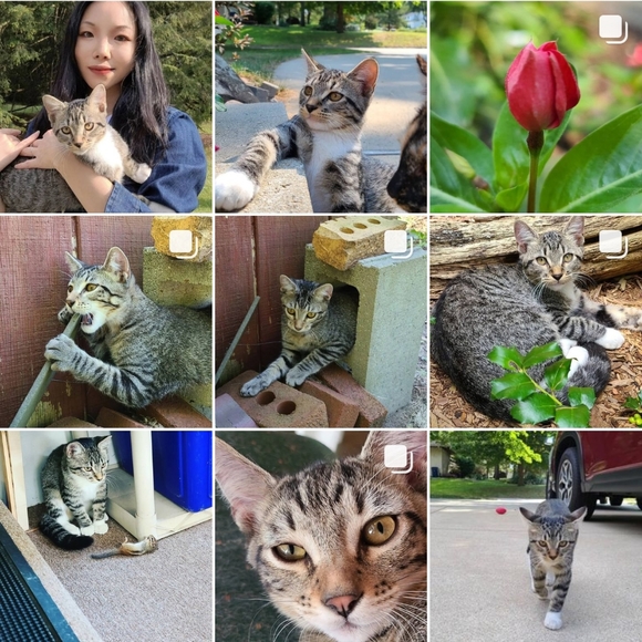 Meet your Posher, Cassi - Picture 13 of 16